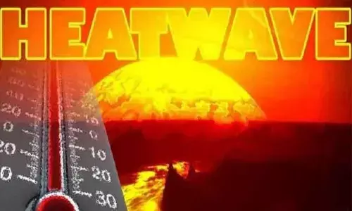 Andhra Pradesh: Severe heat wave forecast for 72 mandals in State
