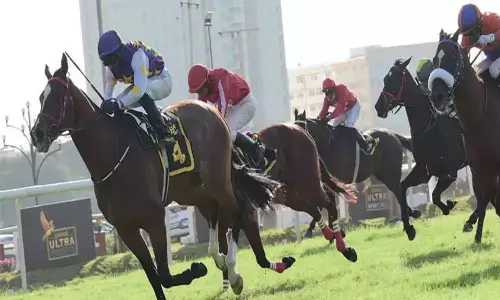 HC directs govt to decide on plea within 10 days