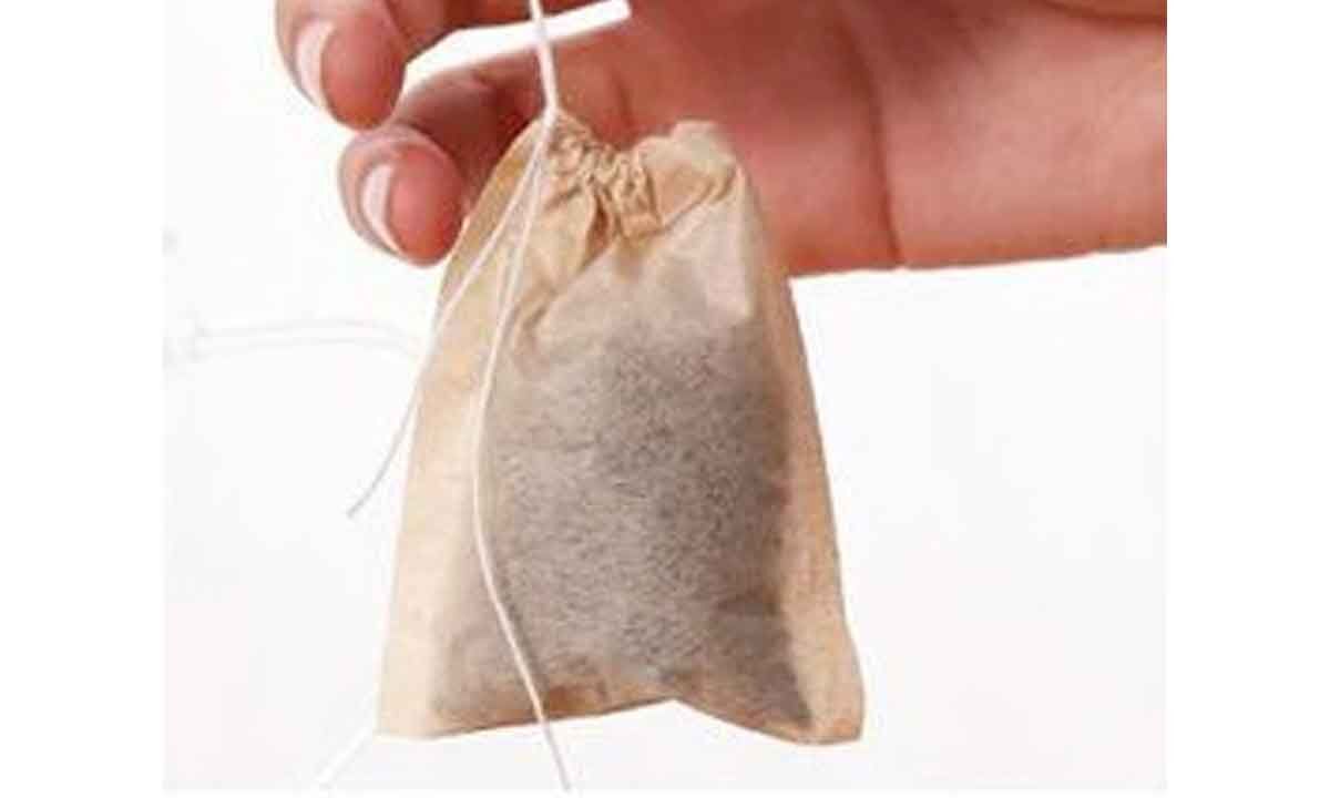 All biodegradable tea bags may not degrade, can harm environment Study