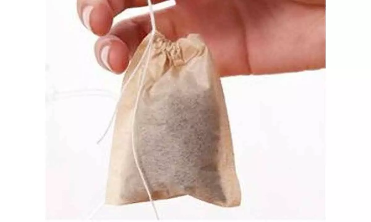All biodegradable tea bags may not degrade, can harm environment: Study