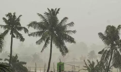 4 die as cyclone Remal ravages parts of Bengal