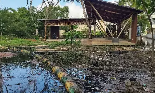 Rajkaluve water polluting Puttenahalli Lake, activists start ‘Save Puttenahalli Lake’ campaign