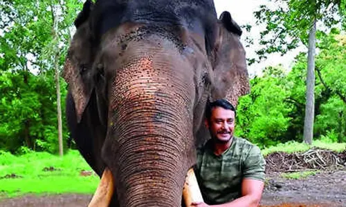 Controversy hits fundraising for elephant Arjun’s memorial
