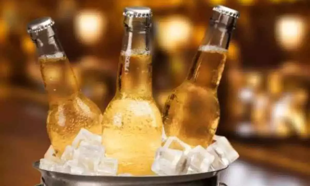 TG beer makers lose fizz, seek govt payment balm