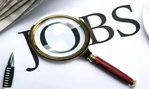 3 fastest growing jobs for fresh graduates in India revealed