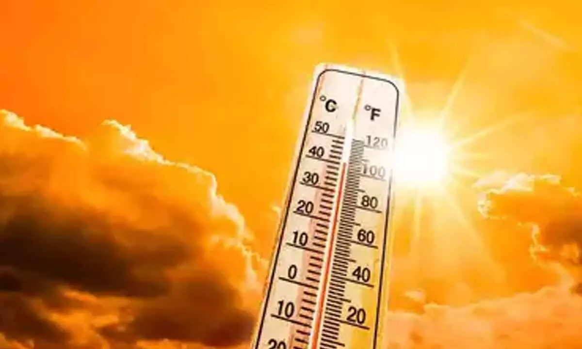Orange Alert Issued In Delhi Due To Heatwave