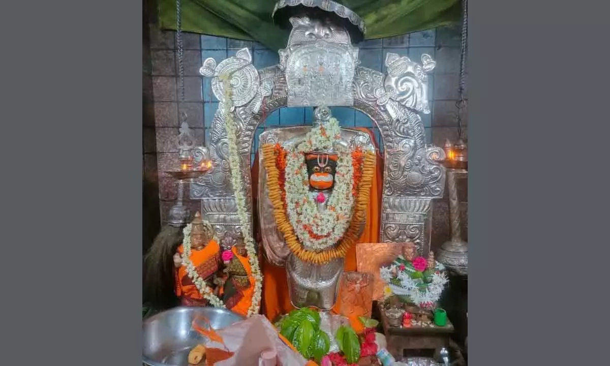 Guntur: Special pujas performed to Anjaneya Swamy