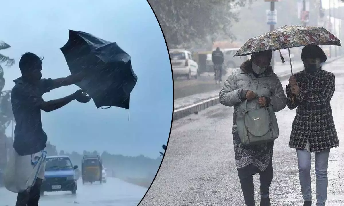 Heavy rains, winds lash Kerala