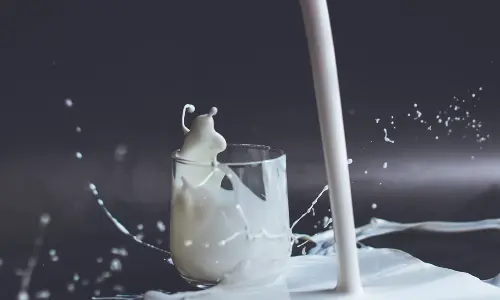 World Milk Day 2024: Celebrating Dairy’s Role in Health and Sustainability