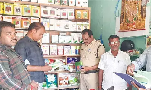 Task force raids seed dealers