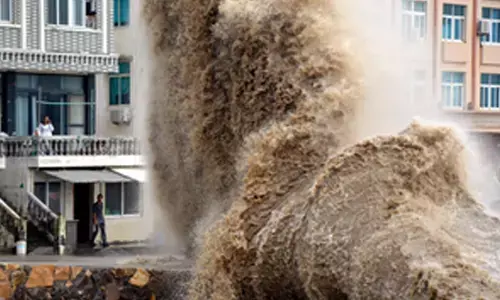 Typhoon Maliksi wanes upon landing in China