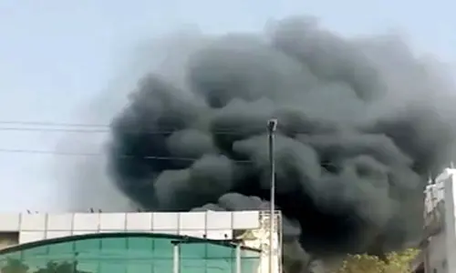 Over 30 cars gutted in fire in Noida