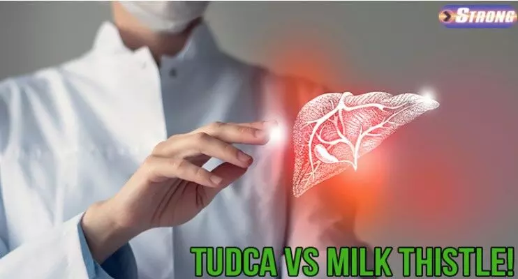 TUDCA vs. Milk Thistle: Which Is Better for Liver Health?