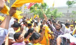 TDP predicted to win 8 Assembly seats in erstwhile Nellore dist