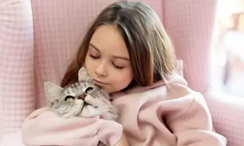 International Hug Your Cat Day 2024: Five Alternative Ways to Show Affection to Your Cat