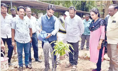Plea to plant saplings for environmental protection