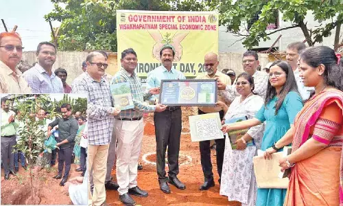 Organisations unite to celebrate WED