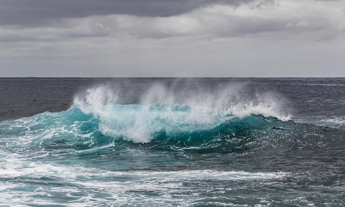 World Oceans Day 2024 Date, History and Significance