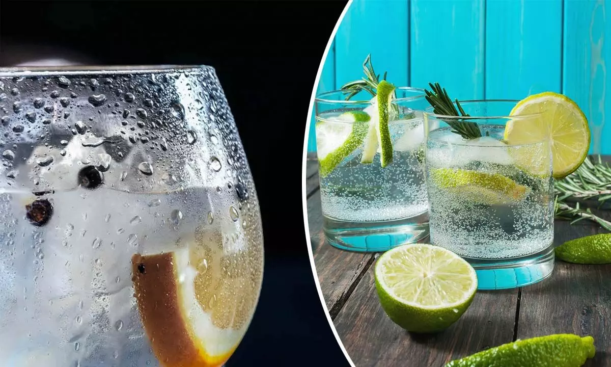 World Gin Day 2024: Date, History and Significance