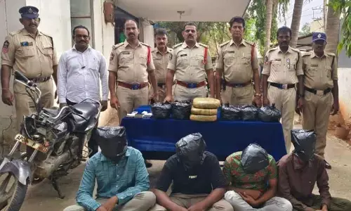 Two town police along with the accused and seized ganga in Kadapa on Thursday