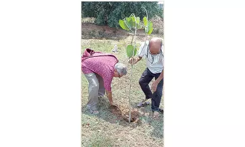 ‘Greenman of Odisha’ favours plantation on Rushikulya embankment