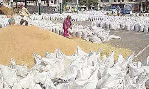 TG govt sets record, pays 8.35L farmers for grain procurement