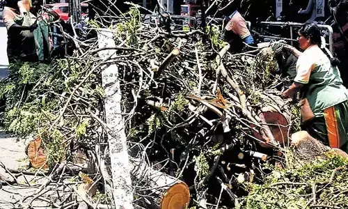 Bescom incurs Rs 13 cr loss due to heavy rainfall