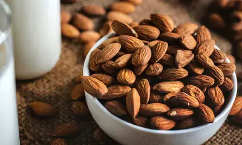 Quick and Healthy: Almond-Based Snacks You Can Make at Home