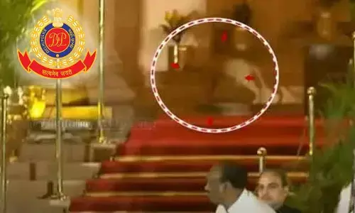 Delhi Police Clarifies Viral Video Of Mysterious Animal At Rashtrapati Bhavan