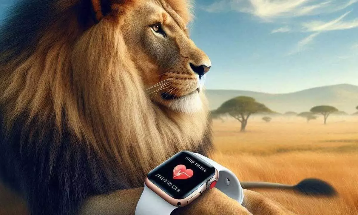 How Veterinarians Are Using Apple Watches to Monitor Wildlife