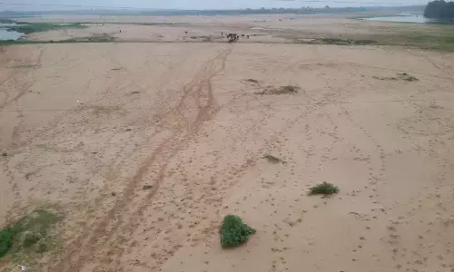 Dried up Nagavali river