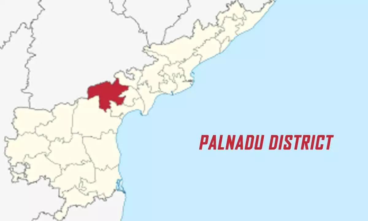 No representation for Palnadu in Cabinet