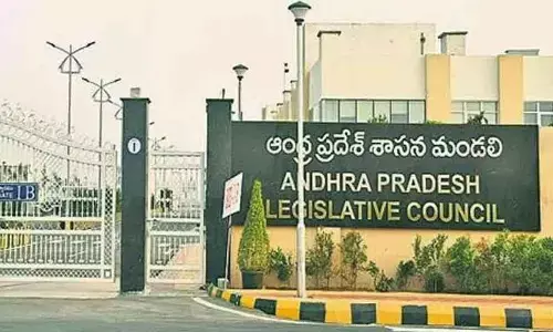 TDP govt to abolish Council?