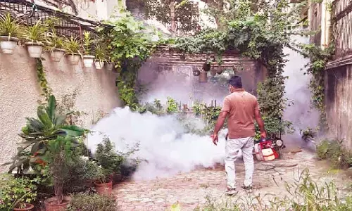 Ahead of monsoon, MCD set to control mosquito breeding