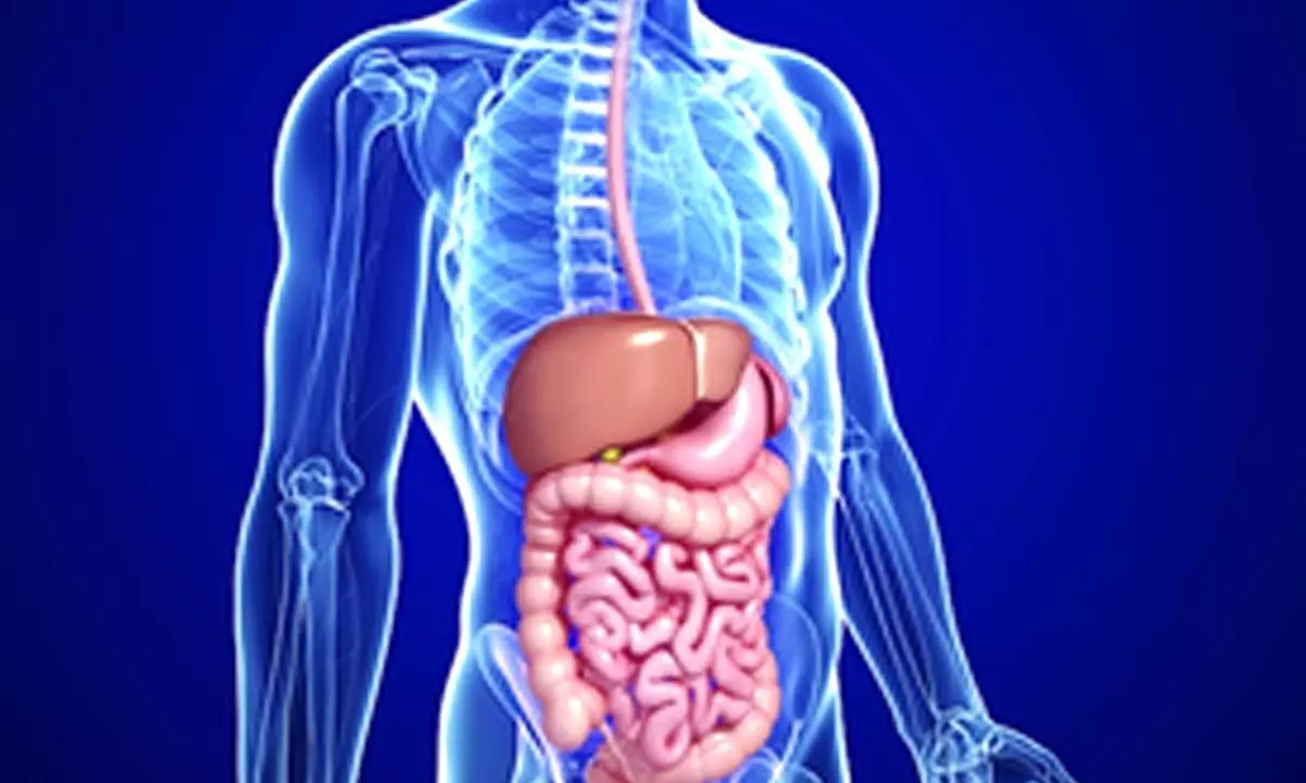 Study suggests relation between gut microbiome and neurodegenerative diseases