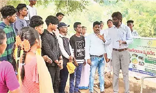 Mosquito eradication programme taken up in Agency