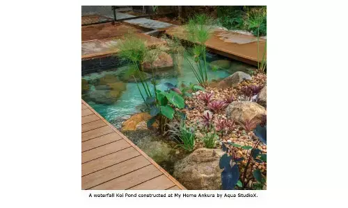 Waterfall Koi Ponds, the latest fad among upscale residences!