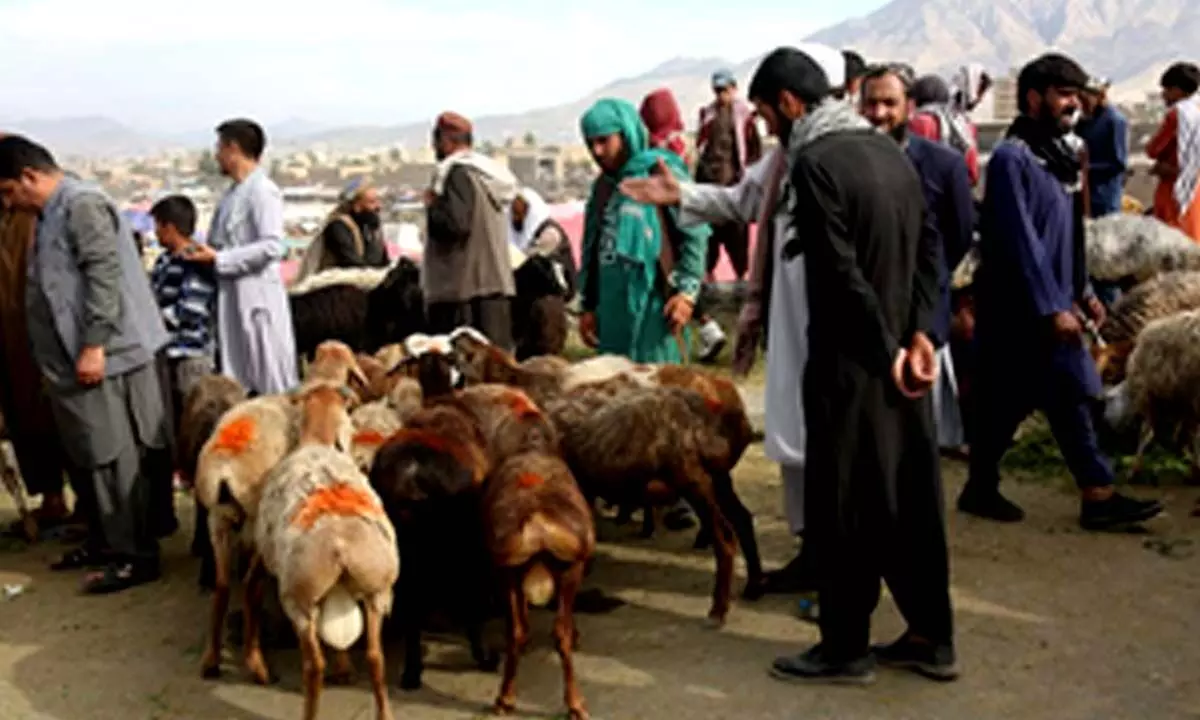 Afghans celebrate Eid al-Adha amid tight security