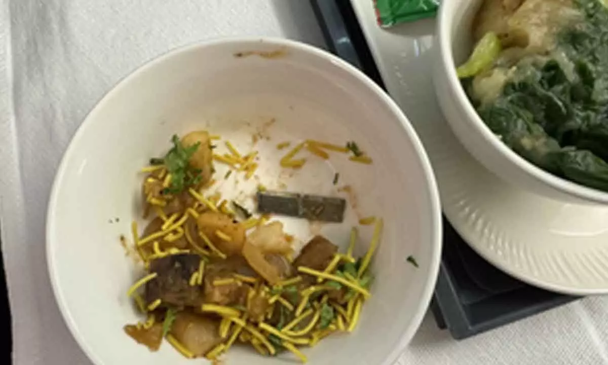After Air India, its caterer apologises over sharp object found in passengers food