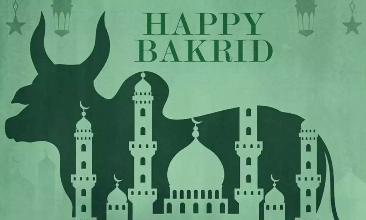 Complaint on depicting Cow in Bakrid poster