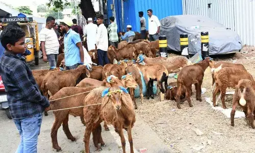 Citizens brace up for Bakrid festival; cops on high alert