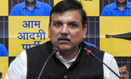 While BJP holds Delhi govt responsible, AAP blames LG, BJP, Haryana for water crisis