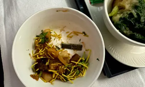 Air India confirms sharp objects presence in passengers food after a week-long ordeal
