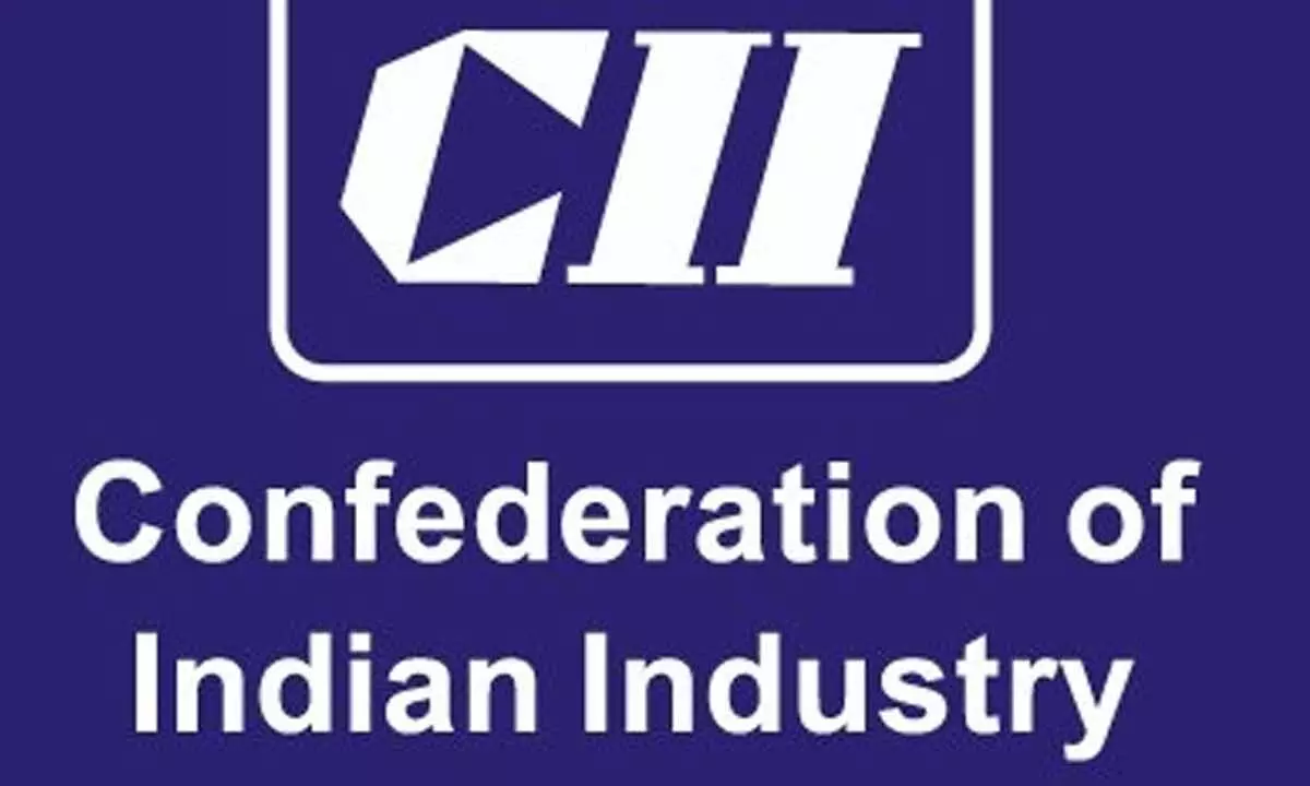 CII urges govt to leave corporate tax rates at current levels in Budget 2024-25