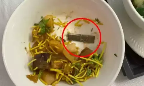 Blade-like object found in food of Air India flight