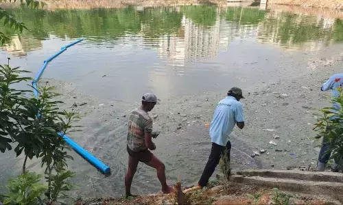 Now, floating garbage broom makes debut to clean up lake