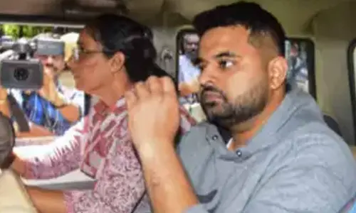 Sleuths adopt techniques used in child pornography cases