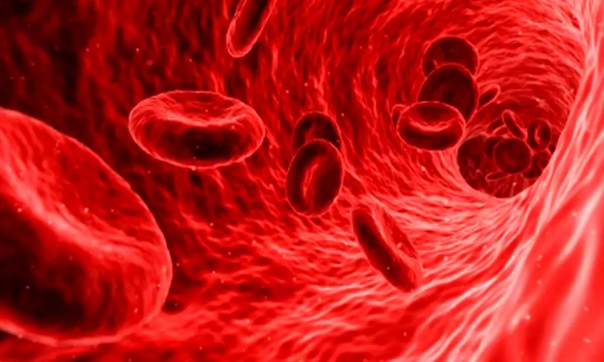 Clinical trials underway on gene editing as potential therapy for sickle cell disease
