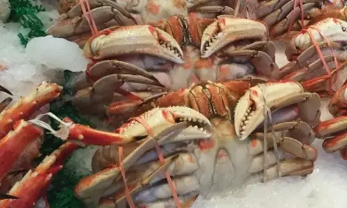 Indias seafood exports scale record high, US & China top buyers