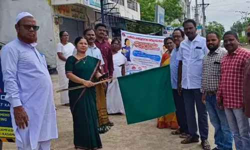 DM HO flags a rally on the National de warming day